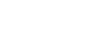 Logo Video
